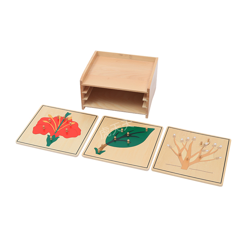 Botany  Puzzle Cabinet
(3 Puzzles Included)