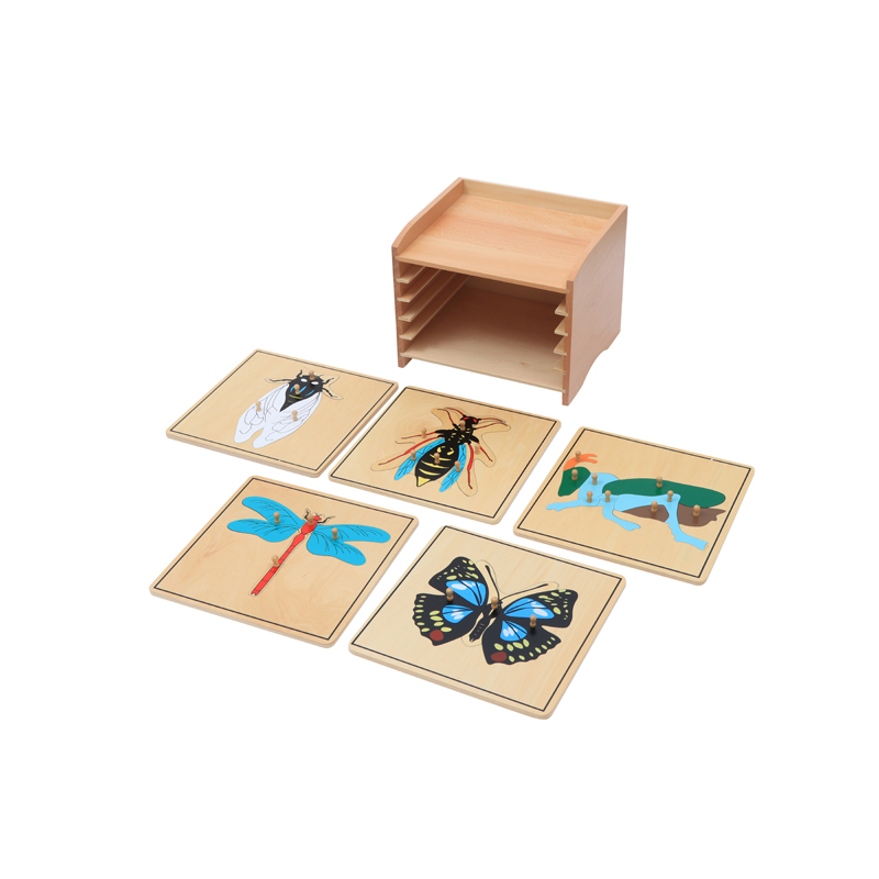 Insect  Puzzle Cabinet (5Slots)
(5 Puzzles Included)
