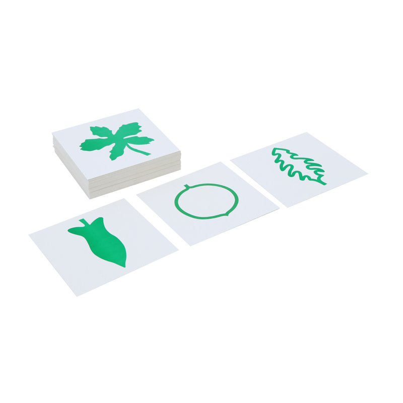 Leaf Cards