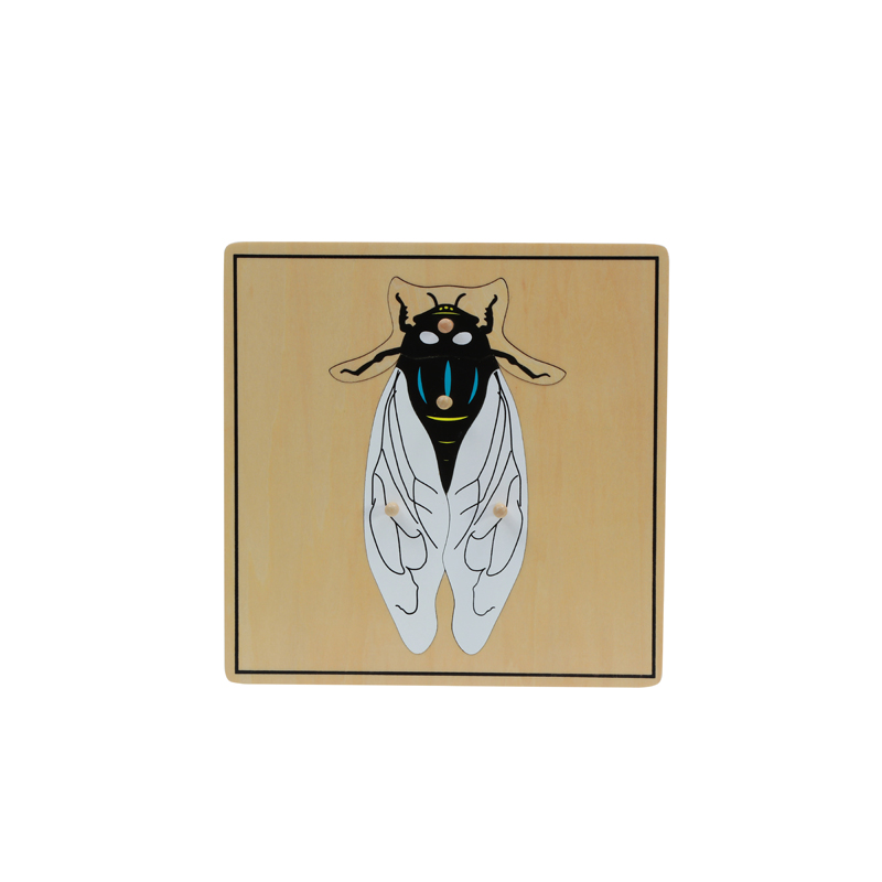 Fly Puzzle (Cicada Puzzle)