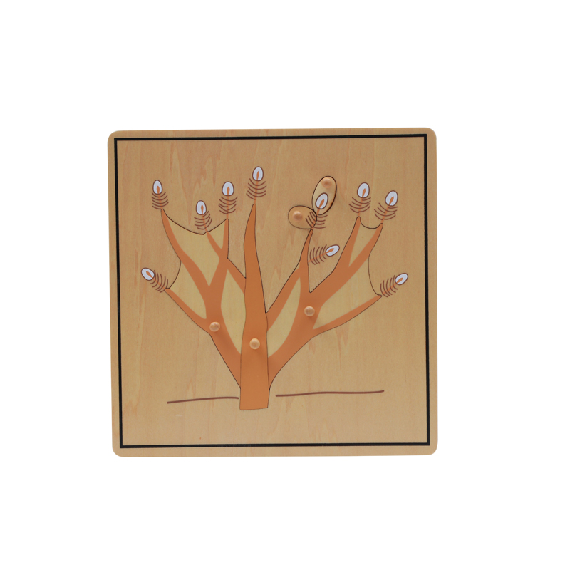 Root Puzzle