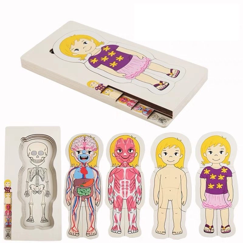 Body Puzzle of Woman