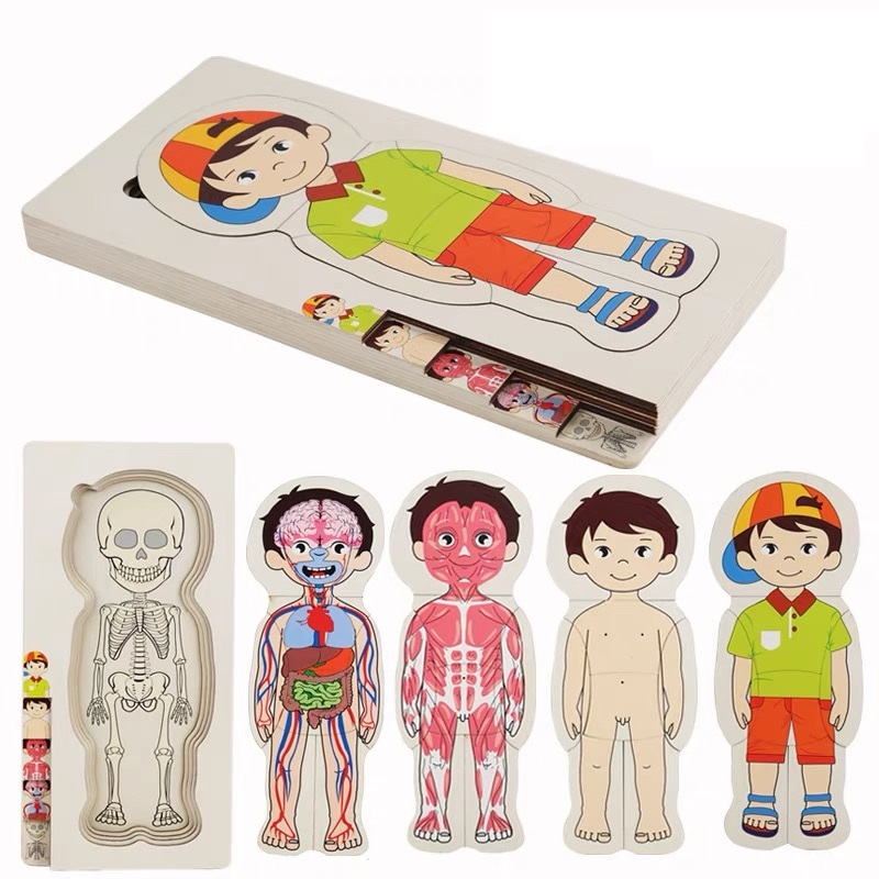 NEW Body Puzzle of Man