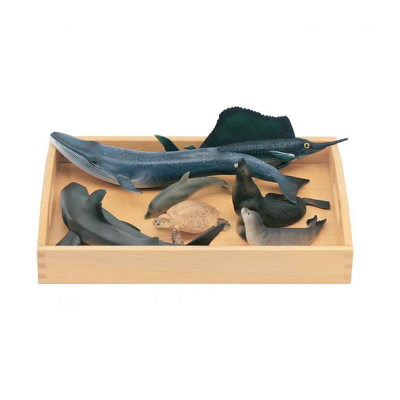 Replicas Objects
-Ocean Animals with wooden tray