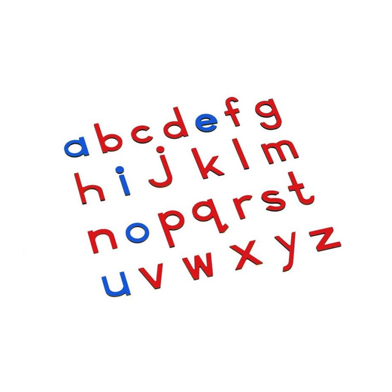 Lowercase Small Movable Alphabet - Blue & Red