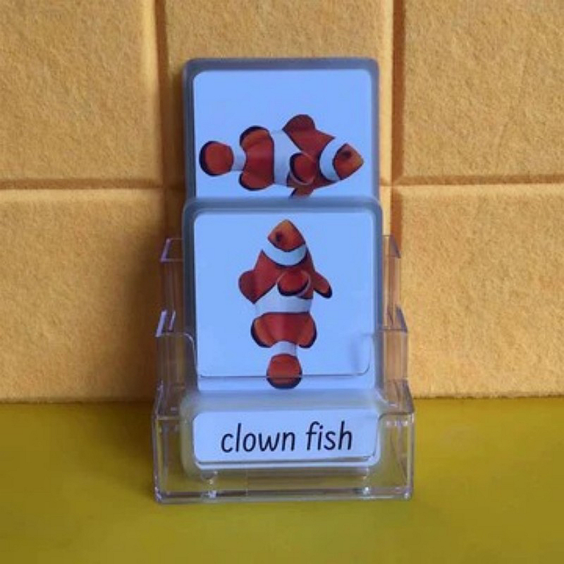 Three-Parts Cards w/ Stand
-Ocean Animals（24 sets）