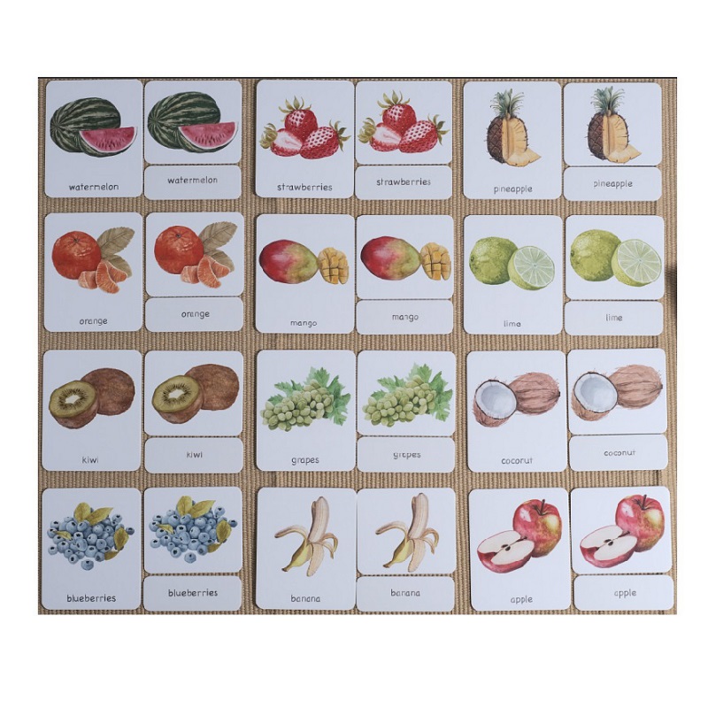 Fruits 3-Part Cards English w/ Stand