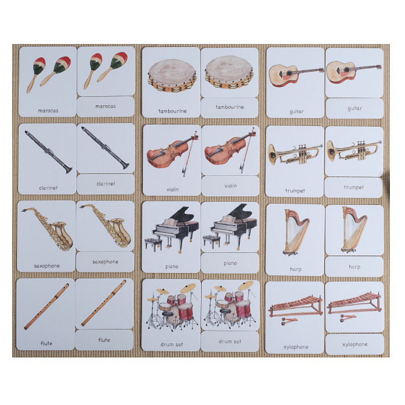 Instruments 3-Part Cards English w/ Stand