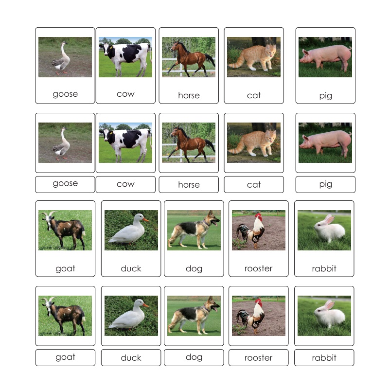 Farm Animals 3-Part Cards English w/ Stand