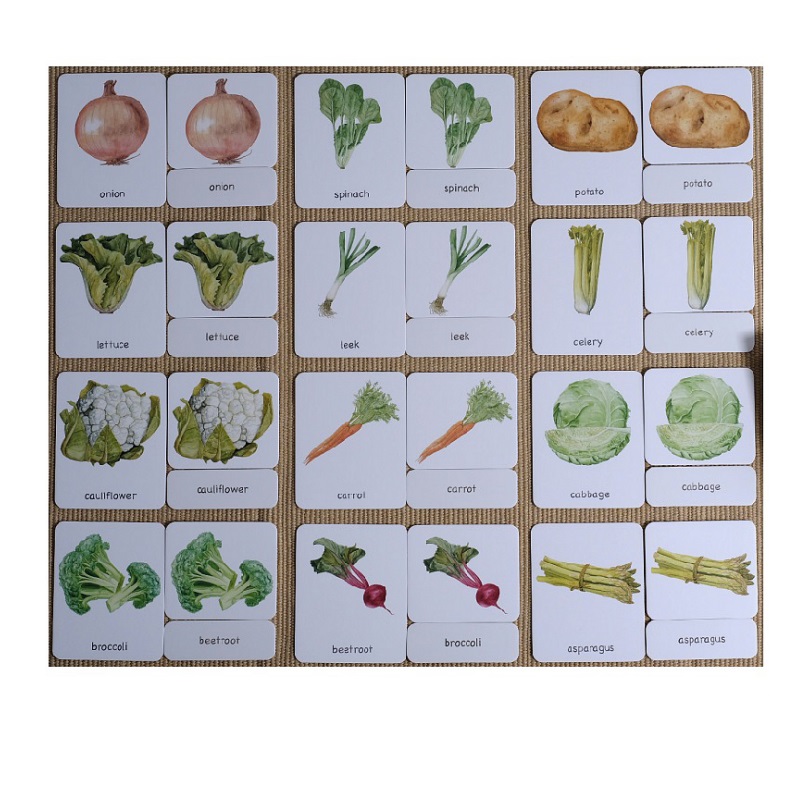 Vegetables 3-Part Cards English w/ Stand
