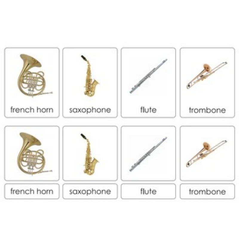 Sorting Cards-Western Instruments EN