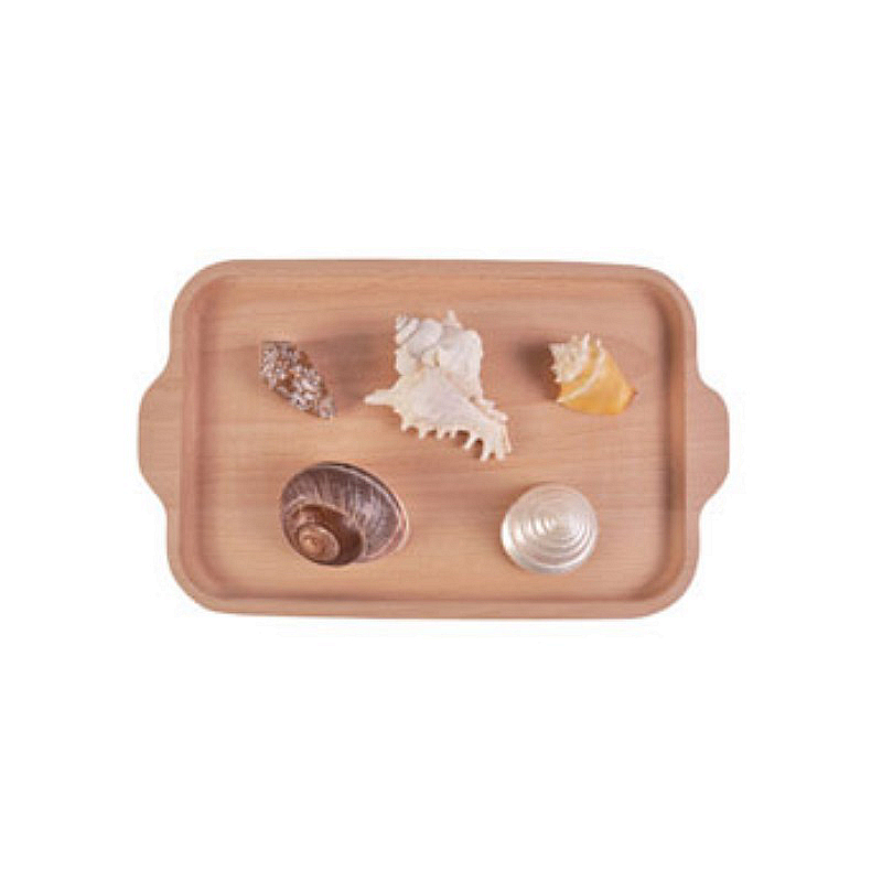 Nomenclature Objects
-Shells with wooden tray
