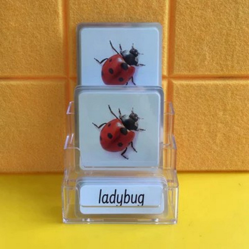 Three-Parts Cards w/ Stand
-Insects（22 sets）