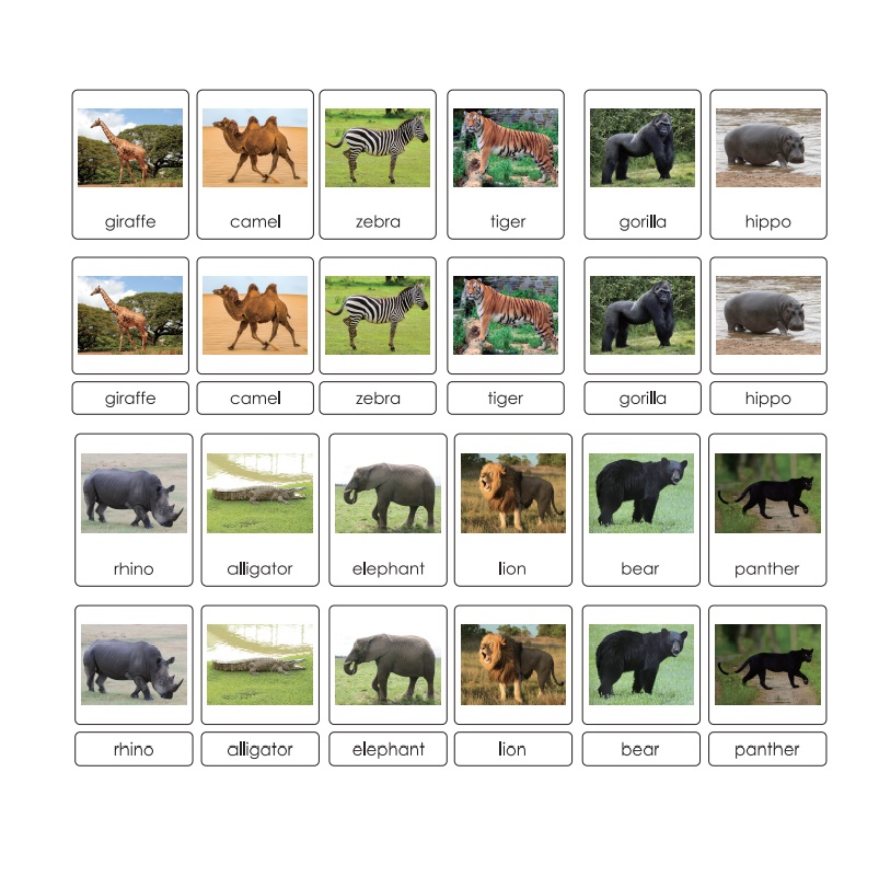 Three-Parts Cards w/ Stand
-Wild Animals（24 sets）