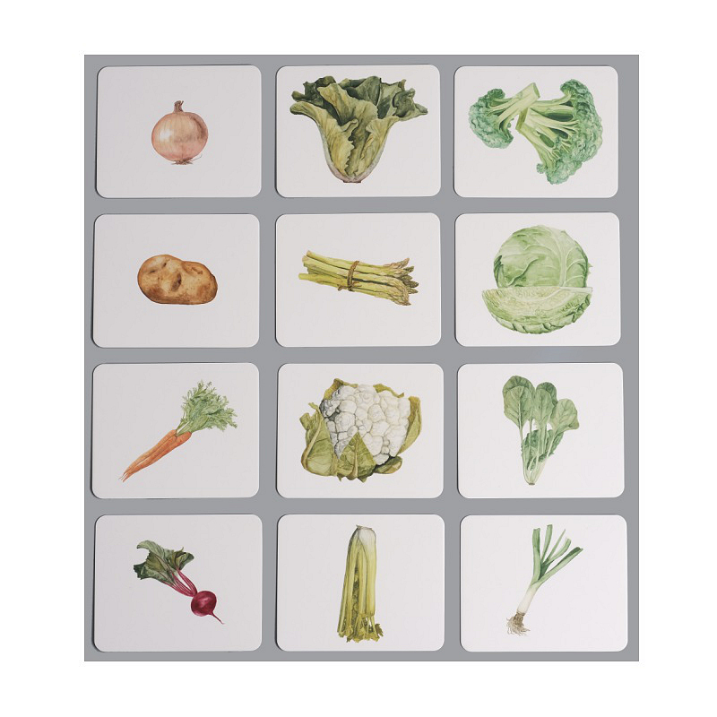 Vegetables Nomenclature/Classified Cards for IC