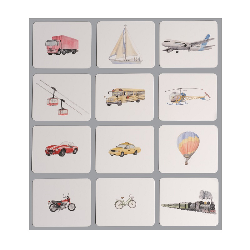 Transportation Nomenclature/Classified Cards for IC
