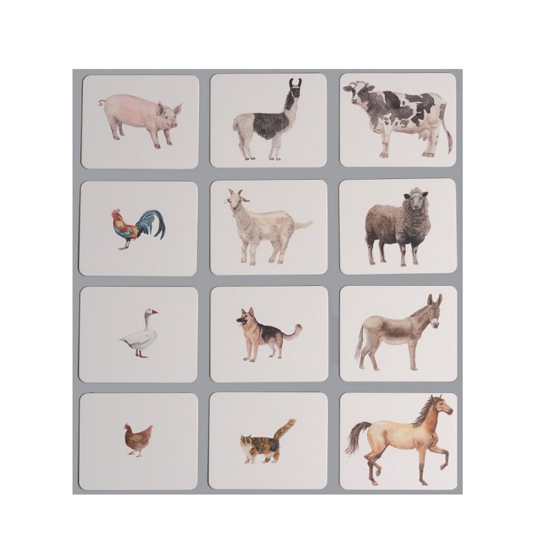 Farm Animals Nomenclature/Classified Cards for IC