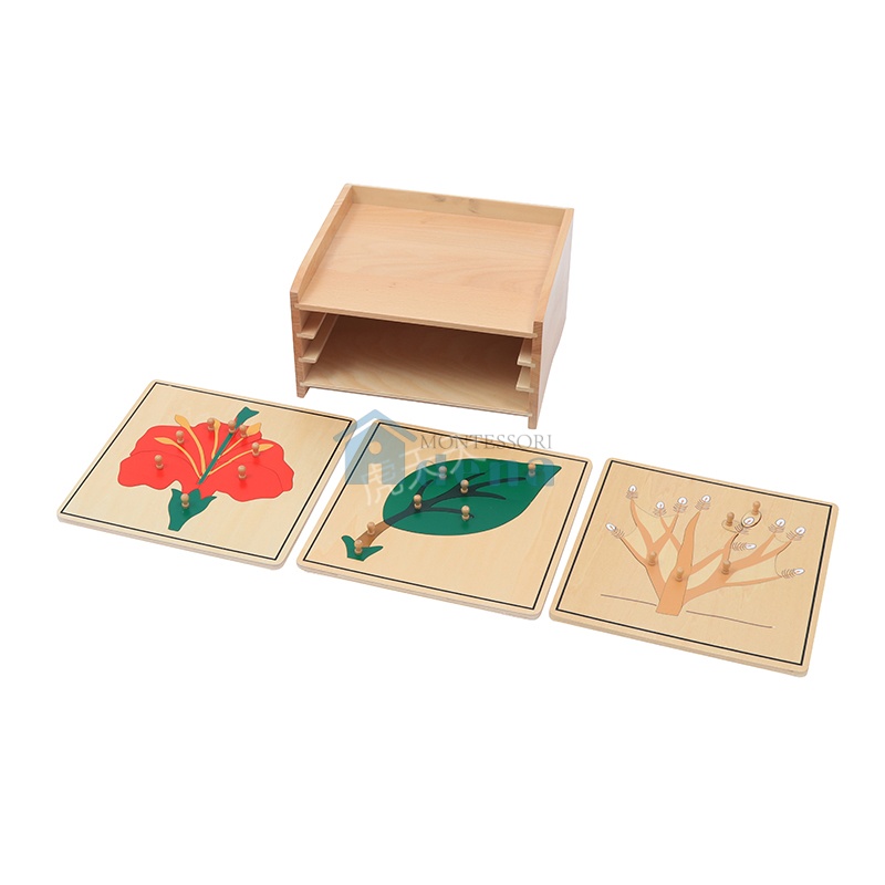 Botany Puzzle Cabinet
(3 Puzzles Included)