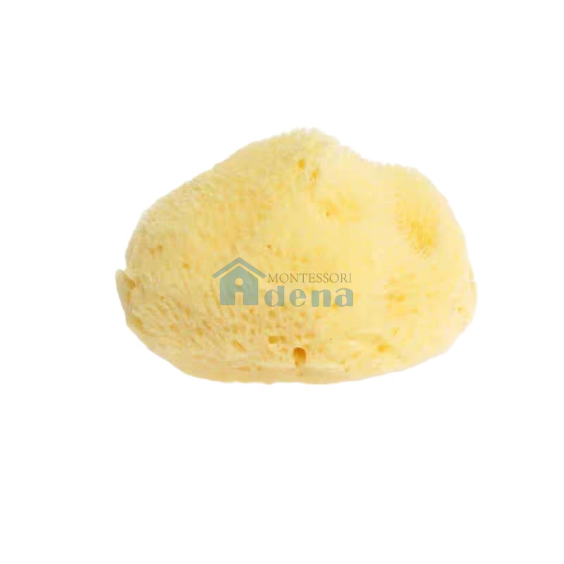 Small Natural Sponge  D3640-5